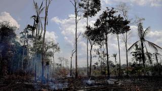La Amazonía, una de las claves de la estabilidad climática mundial