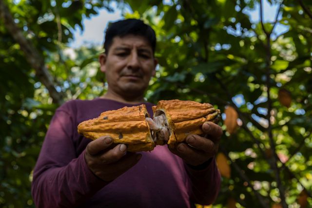 Javier de la Cruz Apaza es productor cacaotero de Ayacucho, y estará representando la asociación El Huerto del VRAEM, que él preside. (Foto: Salón del Cacao y Chocolate)