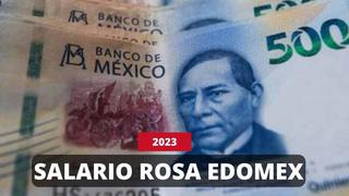 Lo último que se sabe sobre el Salario Rosa en EDOMEX