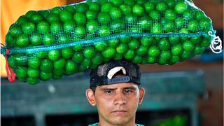 “Estamos pensando subir el precio de los tacos”: por qué el costo del limón en México alcanzó un “récord histórico” (y cuándo bajará)