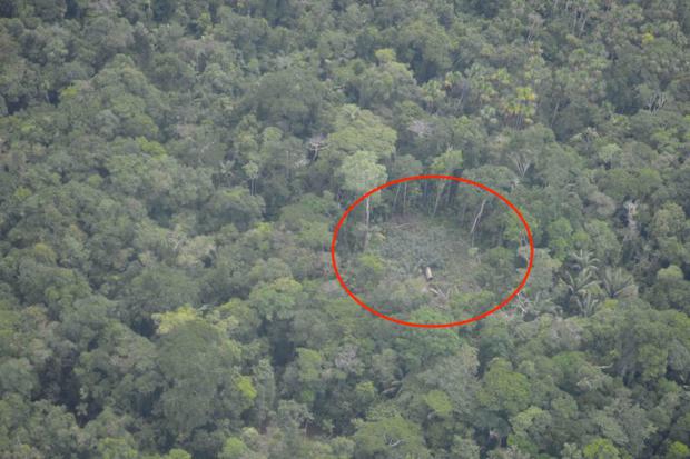 Una maloca se observa en el territorio solicitado para la Reserva Indígena Napo Tigre y Afluentes. Foto: Mongabay Latam.