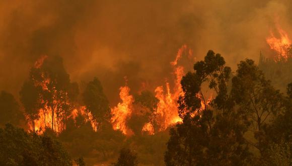 Incendios en Chile. Foto: Agencia Uno.