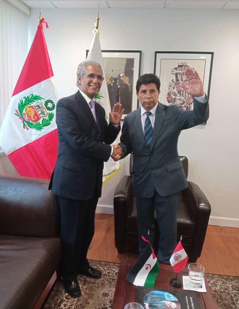 Pedro Castillo se reunió con el canciller de la República Saharaui.