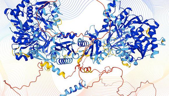 Esta imagen del folleto de Karen Arnott, publicada por el Instituto Europeo de Bioinformática del EMBL (EMBL-EBI) el 22 de julio de 2021, representa la estructura de una proteína humana modelada por el programa informático AlphaFold.