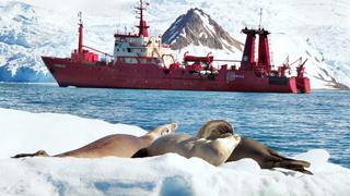 Las impresionantes expediciones del Humboldt a la Antártida
