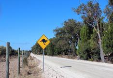 Australia soporta brutal ola de calor que "derrite" sus carreteras