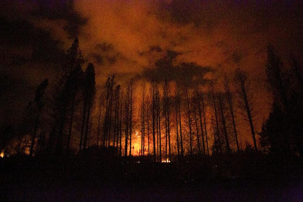 Varios focos de incendio en las provincias de Chubut y Río Negro en Argentina, que las autoridades consideran intencionales, han causado decenas de heridos y evacuados y la destrucción de unas 250 viviendas. (Texto y foto: AP).