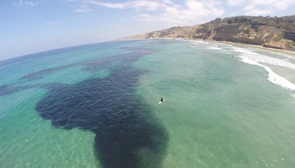 Una asombrosa marea negra tiñó la costa de San Diego [VIDEO]