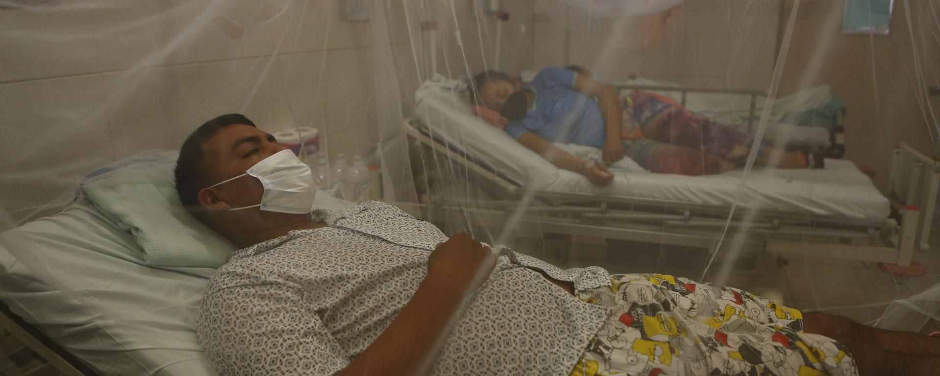 Dengue ya está en 23 regiones y aumentan casos en Lima: ¿cómo se propaga el zancudo y qué hacer para reducir riesgos?