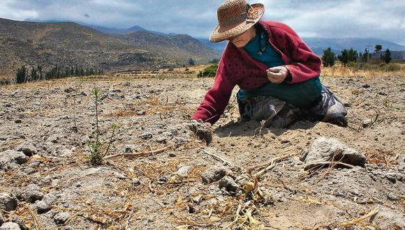 El Minagri revisar&aacute; la estructura del Seguro Agr&iacute;cola Catastr&oacute;fico (SAC). (Foto: USI)