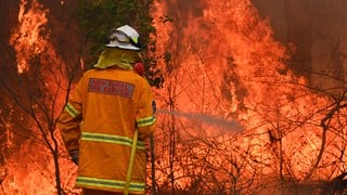 Bomberos piden disculpas por tomarse la leche de una casa que salvaron de las llamas en Australia