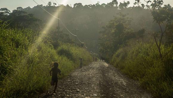 Estudiarán biodiversidad en zona donde FARC tenía presencia