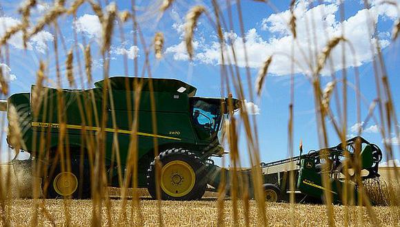 Estiman que precios de granos bajarán pese a efectos de El Niño