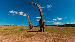 Hallan en Argentina un dinosaurio que podría ser el animal terrestre más grande de la historia 