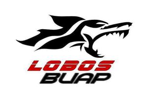 Lobos BUAP pagará multa para jugar el Torneo Apertura de la Liga MX