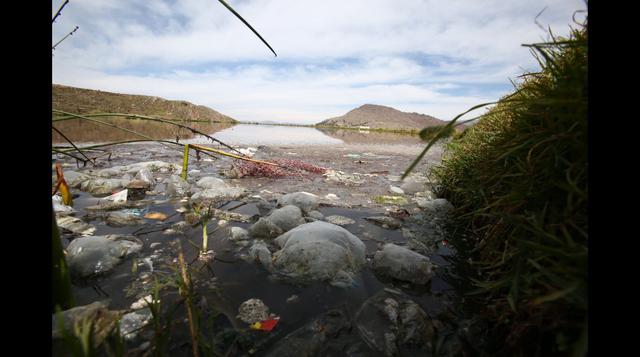 Contaminación en el lago Titicaca se agrava desde hace 22 años - 2