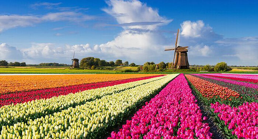 Países Bajos | ¿Por qué Holanda quiere dejar de ser Holanda? Europa