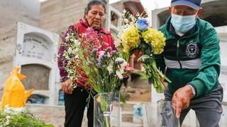 Ministerio de Salud realiza acciones preventivas contra el dengue en cementerios este 1 de noviembre