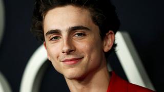 Timothée Chalamet: la joven estrella que se ha convertido en icono de la moda | FOTOS