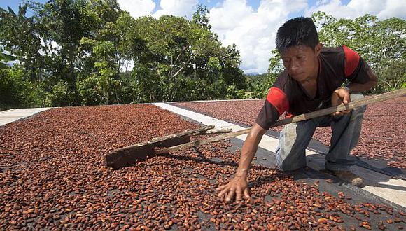 Nuestro cacao fino de aroma recibe hasta US$4.500 la tonelada