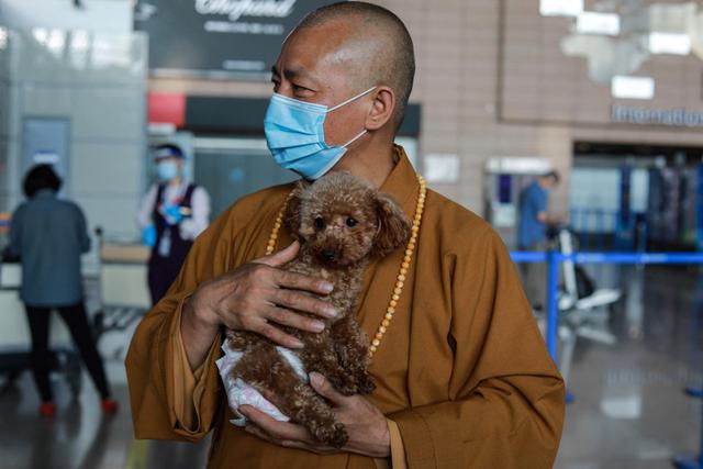 Imagen muestra al monje budista Zhi Xiang cargando un perro rescatado antes de enviarlo a los Estados Unidos en el Aeropuerto Internacional de Pudong en Shanghái. (Jessica YANG / AFP).