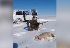 Increíble: un lobo "vuelve a la vida" para vengarse de su cazador