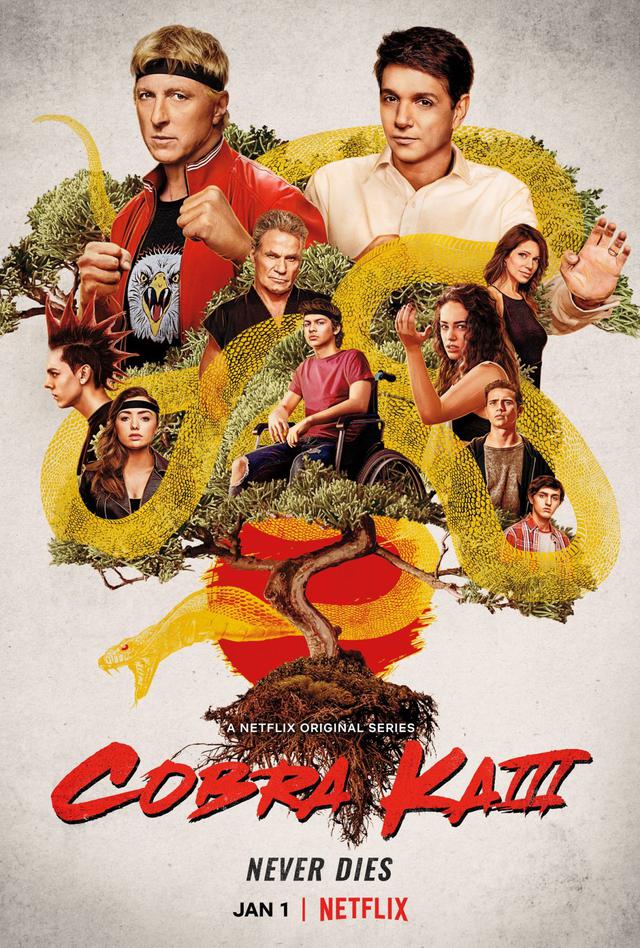 El cartel oficial de la tercera temporada "Mano de cobra" (Foto: Netflix)