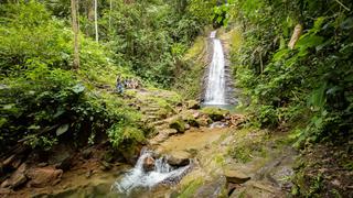 Bosque Guardián: el fantástico ecolodge en Tarapoto que combina aventura y actividades de conservación