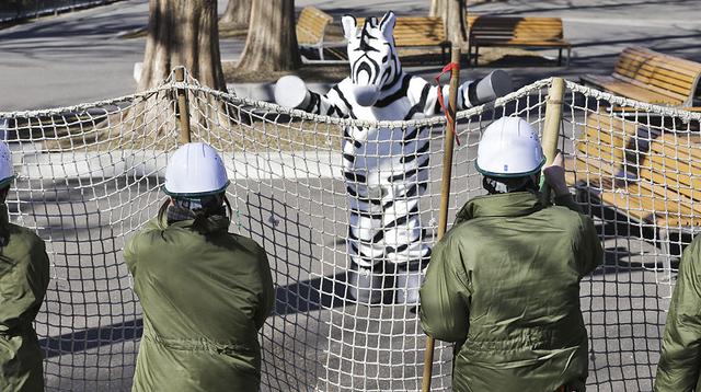 El Zoológico de Tokio realiza un singular simulacro - 1