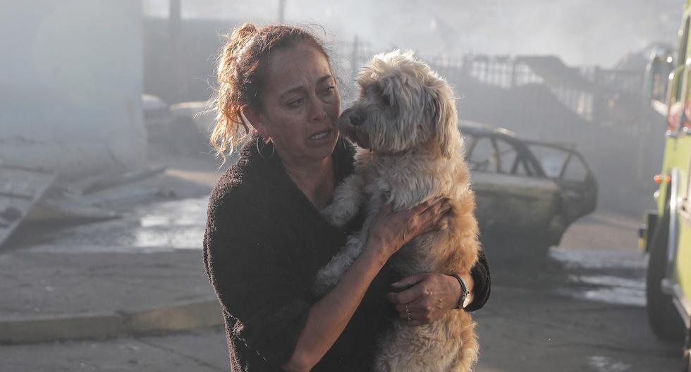 Una mujer carga a su perro después de que un incendio forestal destruyera su casa en las colinas de Viña del Mar, en la región de Valparaíso, Chile.