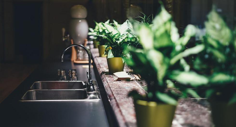 Las plantas aromáticas le darán un ambiente especial a tu cocina. (Foto: Pixabay)