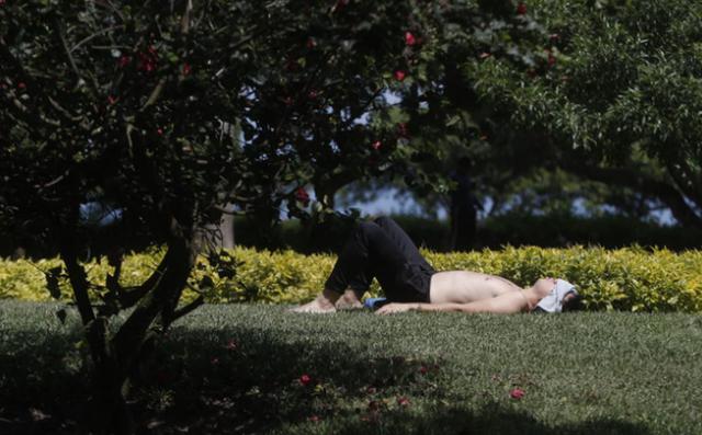 Un hombre aprovecha el día soleado para descansar en un jardín y disfrutar del calor | Foto: César Campos/@photo.gec