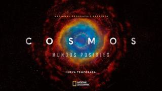 “Cosmos: mundos posibles”: Nat Geo estrena la nueva temporada de la serie este 24 de marzo | VIDEO