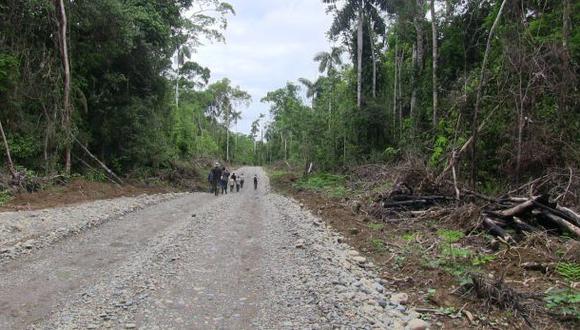 Ordenan paralizar construcción de carretera cerca del Manu