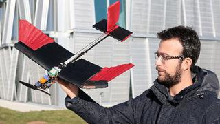 Un dron con plumas artificiales imita el vuelo de las aves