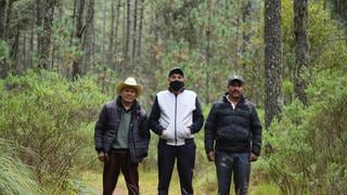 Los guardianes del bosque que da agua a la ciudad de Xalapa, en México