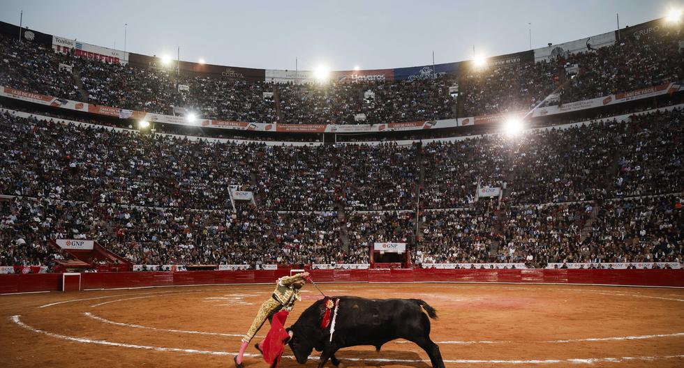 A judge suspends bullfighting again in Plaza México