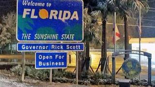 Florida: El norte del "estado del sol" se cubre de nieve