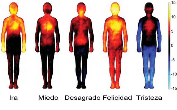 Así reaccionamos ante el amor, la alegría, el miedo o la ira - 1