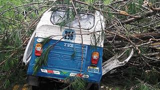 Pasco: Mototaxista muere aplastado al caer un árbol sobre su vehículo