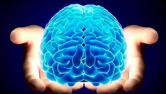 Este 22 de julio se conmemora el Día Mundial del Cerebro. (Foto: misionesonline.net)