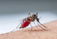 4 tips para que no contraigas enfermedades por la picadura de mosquitos