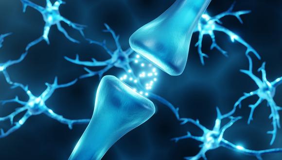 La dopamina es un neurotransmisor que interviene en procesos como el control de movimiento