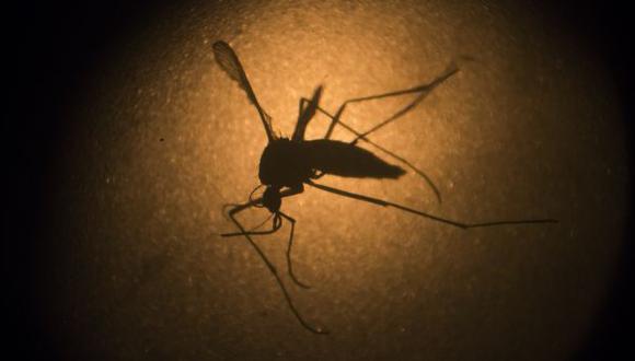 La OMS declara a Europa el primer continente libre de malaria