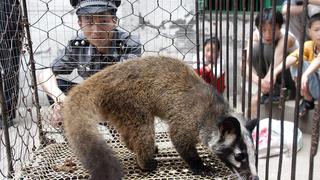 China prohíbe comercio de animales salvajes hasta que epidemia de coronavirus de Wuhan termine 