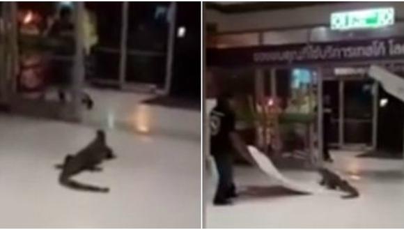 Jóvenes se arman de valor y sacan a lagarto de centro comercial