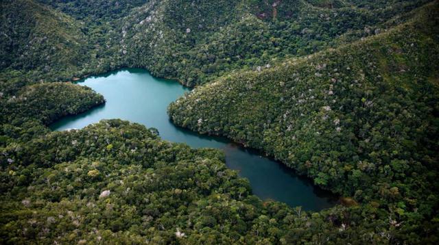Sierra del Divisor: 5 claves sobre el nuevo parque nacional - 2