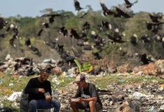 Brasil: venezolanos disputan restos de comida con buitres en basurero de Pacaraima