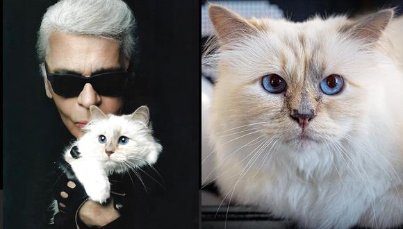 La famosa gata de Karl Lagerfeld heredó una cuantiosa fortuna que es dedicada a su bienestar y cuidado a cargo de asistentes personales.
(Fotos: IG @choupetteofficiel)