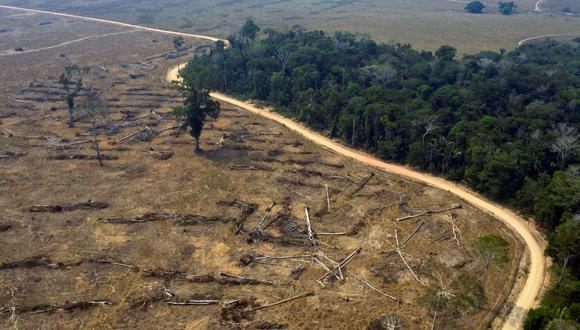 Vista aérea de las áreas quemadas de la selva amazónica, cerca de Porto Velho, estado de Rondonia, Brasil, el 24 de agosto de 2019. (CARLOS FABAL / AFP).